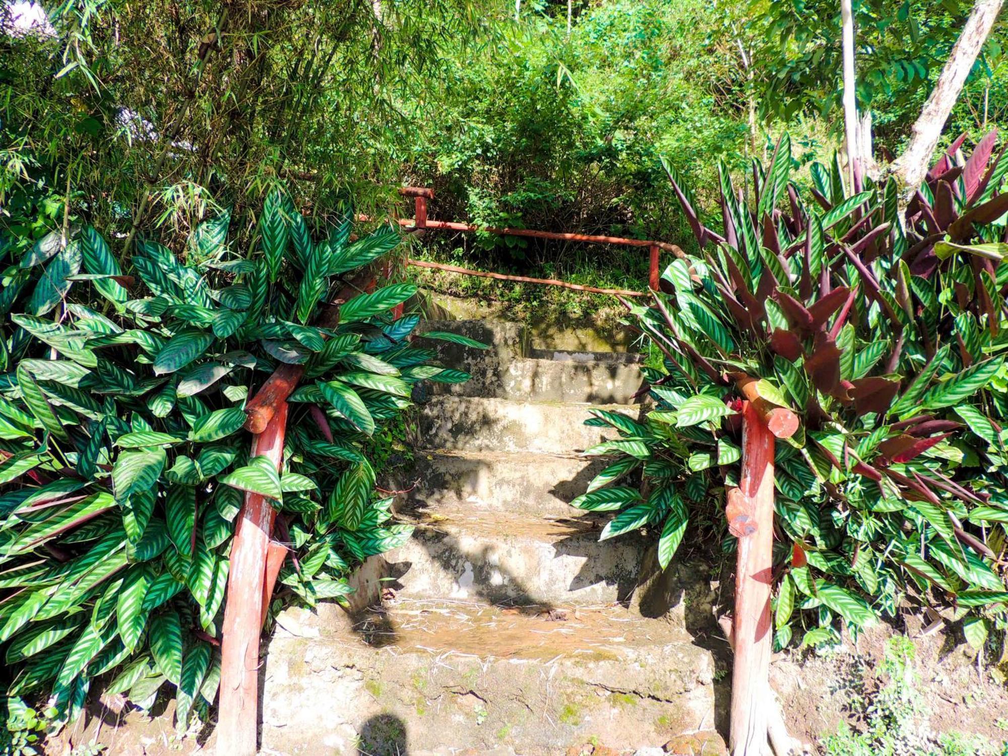 Mutanda Eco Community Center Hotell Kisoro Exteriör bild
